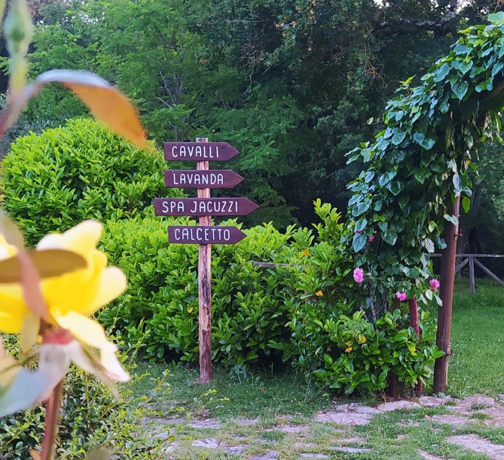 Agriturismo Podere Poggiarone Rapolano Terme Bagian luar foto